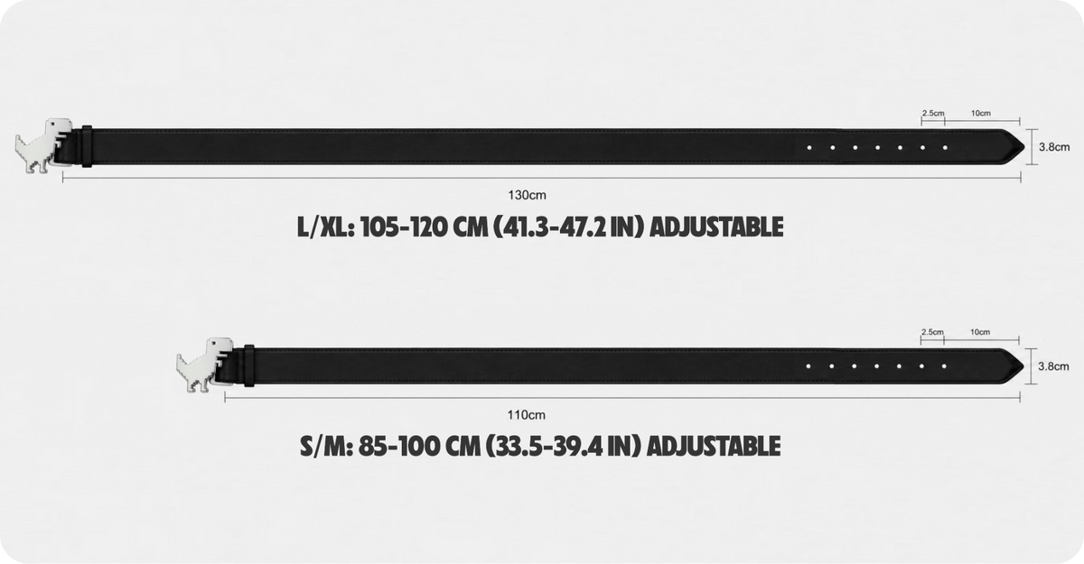 Dinosaur Belt Metric Size Chart
